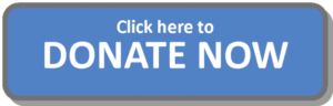 Donate-Now-Button-740x236